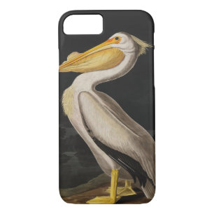 Audubon White Pelican Bird America iPhone 8/7 Case