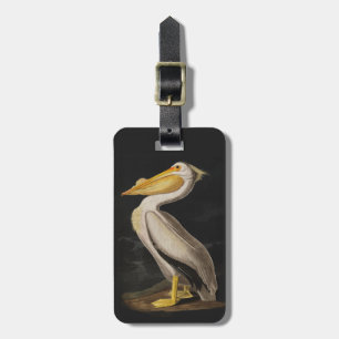 Audubon White Pelican Bird America Luggage Tag