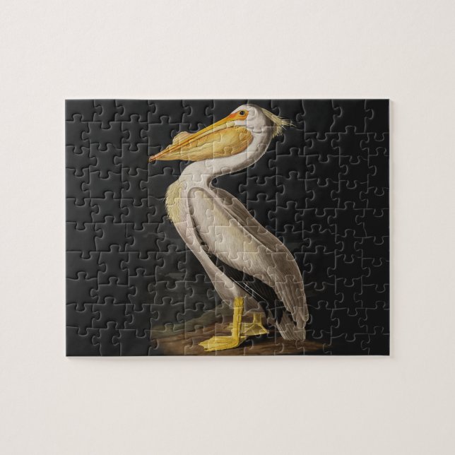 Audubon White Pelican Bird Vintage Print Jigsaw Puzzle (Horizontal)