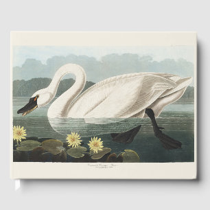 Audubon White Swan Waterfowl Painting Guest Book