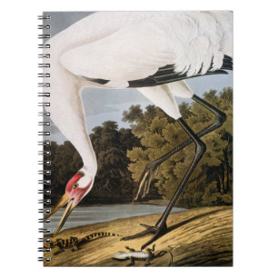 Audubon: Whooping Crane Notebook