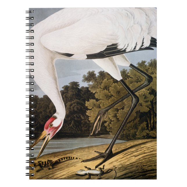Audubon: Whooping Crane Notebook (Front)
