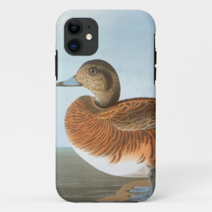 Audubon: Wigeon iPhone 11 Case