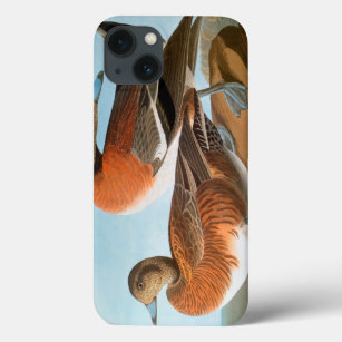 Audubon: Wigeon iPhone 13 Case