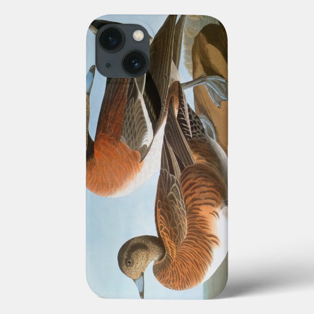 Audubon: Wigeon Case-Mate iPhone Case (Back)
