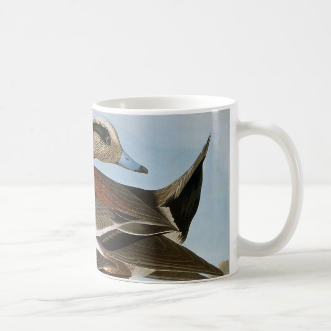 Audubon: Wigeon Coffee Mug (Right)