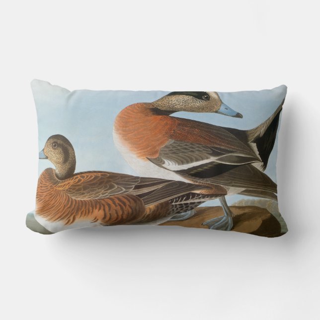 Audubon: Wigeon Lumbar Cushion (Front)