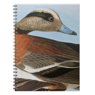 Audubon: Wigeon Notebook