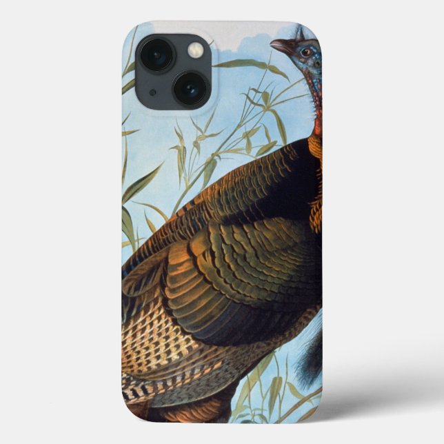 Audubon: Wild Turkey Case-Mate iPhone Case (Back)