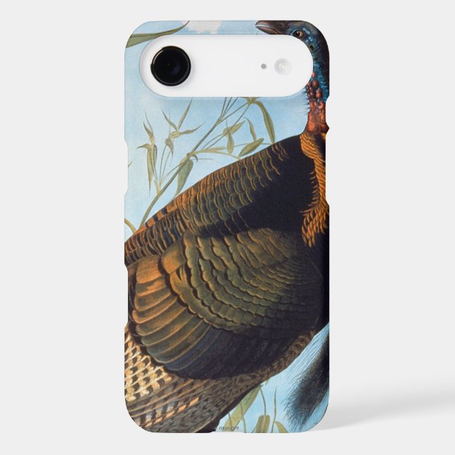 Audubon: Wild Turkey Case-Mate Samsung Galaxy Case (Back)