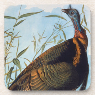 Audubon: Wild Turkey Coaster