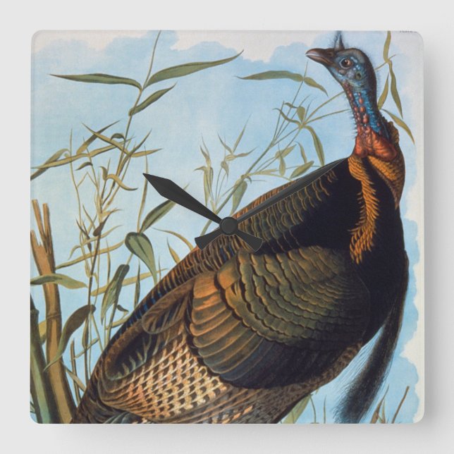 Audubon: Wild Turkey Square Wall Clock (Front)