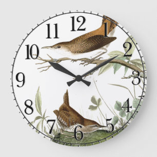 Audubon Wren Birds Animal Wildlife Wall Clock