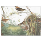 Audubon Wren Nest Birds Wildlife Tissue Paper