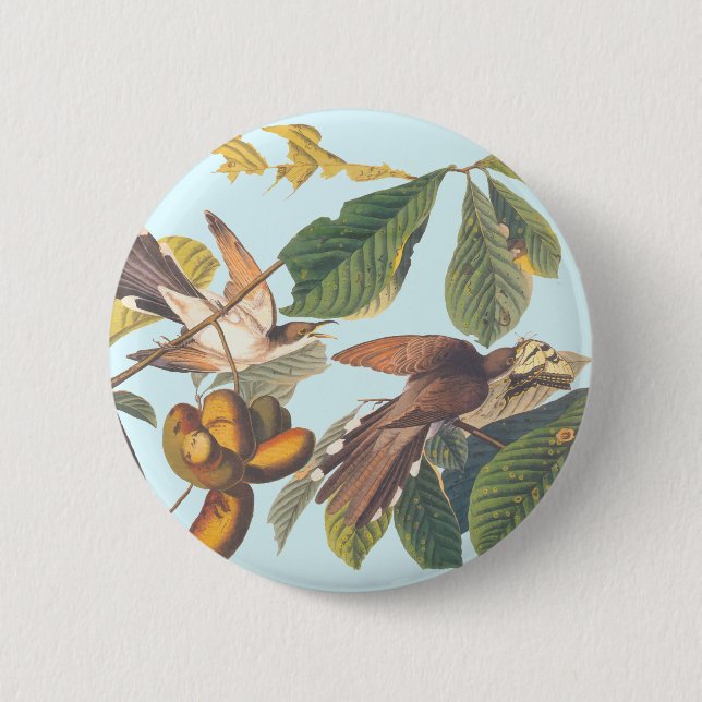 Audubon Yellow Billed Cuckoo 6 Cm Round Badge (Front)