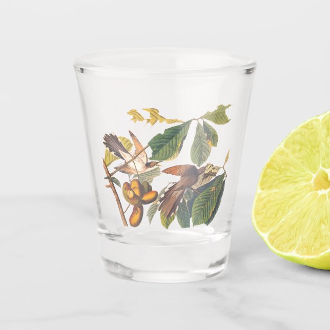 Audubon Yellow-Billed Cuckoo Birds in Fruit Tree Shot Glass (Front)