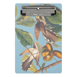 Audubon Yellow Billed Cuckoo Mini Clipboard