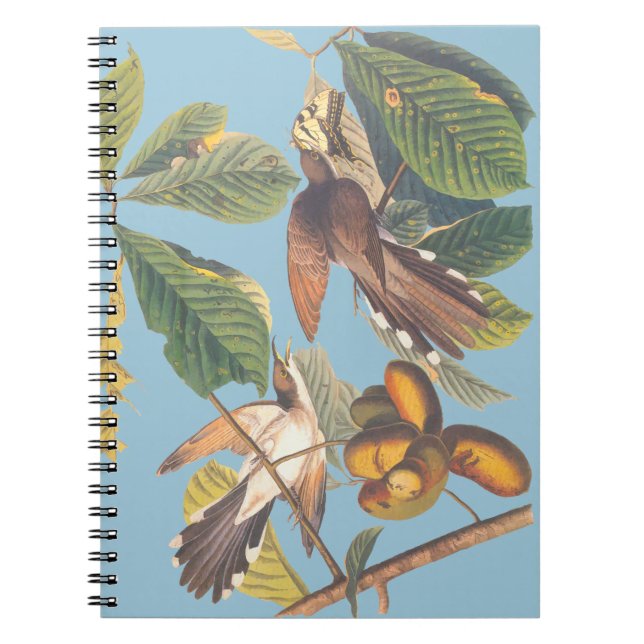 Audubon Yellow Billed Cuckoo Mini Clipboard Notebook (Front)
