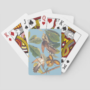 Audubon Yellow Billed Cuckoo Playing Cards