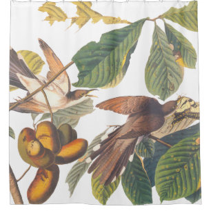 Audubon Yellow Billed Cuckoo Shower Curtain