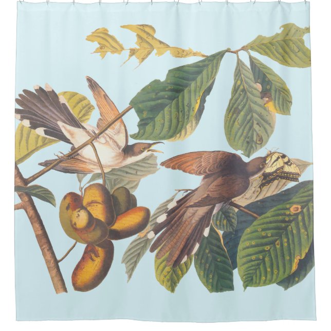 Audubon Yellow Billed Cuckoo Shower Curtain (Front)