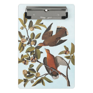 Audubon Zenaida Dove with Flowers Mini Clipboard