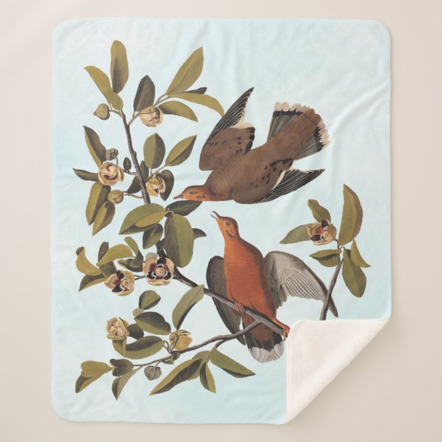 Audubon Zenaida Dove with Flowers Sherpa Blanket (Front)