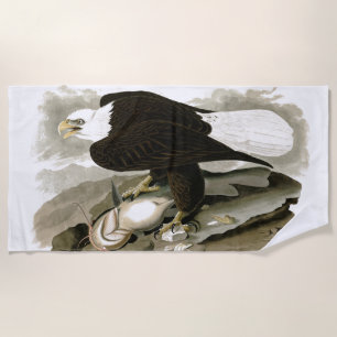 Audubons Bald Eagle Bird Wildlife Beach Towel