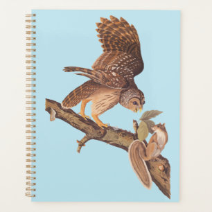 Audubon's Barred Owl and Squirrel Odd Friends Planner