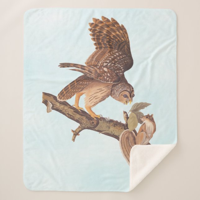 Audubon's Barred Owl and Squirrel Odd Friends Sherpa Blanket (Front)