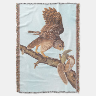 Audubon's Barred Owl and Squirrel Odd Friends Throw Blanket