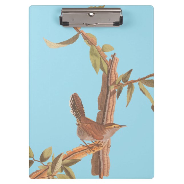 Audubon's Bewick's Long Tailed Wren Song Bird Clipboard (Front)