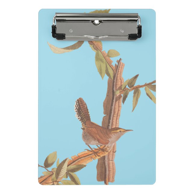 Audubon's Bewick's Long Tailed Wren Song Bird Mini Clipboard (Front)