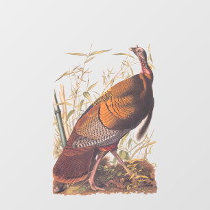 Audubon's Birds of America Wild Turkey Autumn Bird