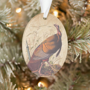 Audubon's Birds of America Wild Turkey Autumn Bird Ornament