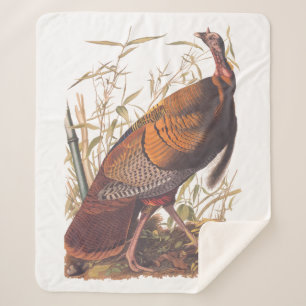 Audubon's Birds of America Wild Turkey Autumn Bird Sherpa Blanket