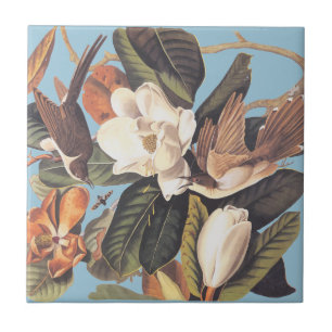 Audubon's Black Billed Cuckoo Ceramic Tile