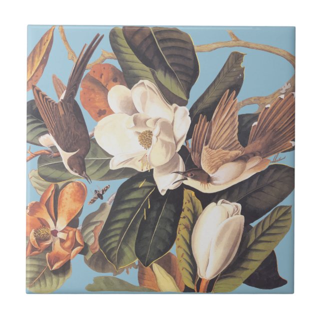 Audubon's Black Billed Cuckoo Ceramic Tile (Front)