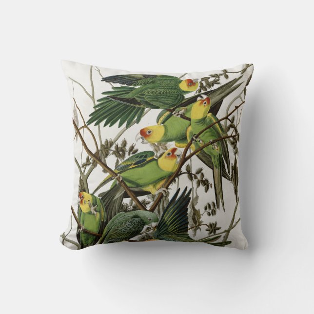 Audubon's Carolina Parakeet  Cushion (Front)