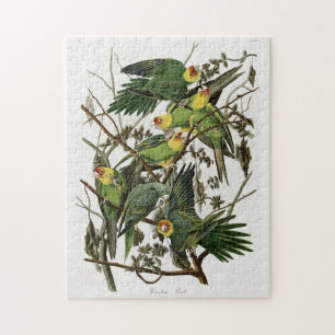 Audubon's Carolina Parakeet Jigsaw Puzzle