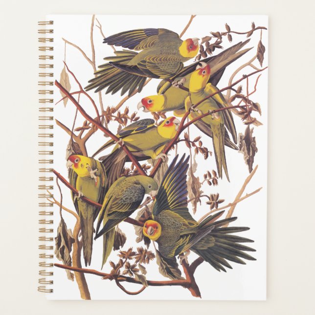Audubon's Carolina Parakeet Planner (Front)