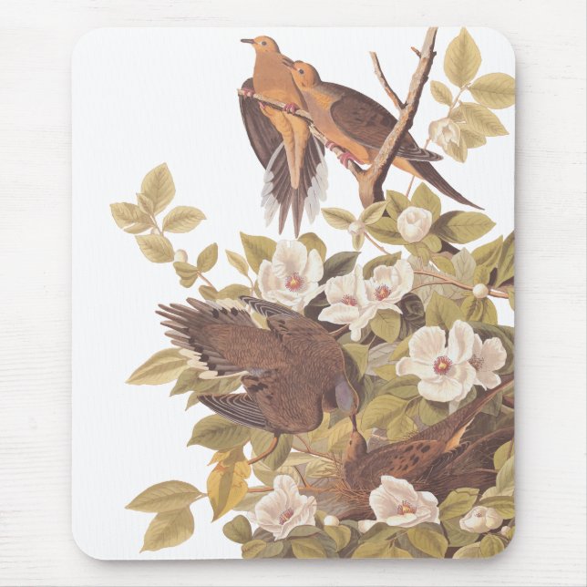 Audubon's Carolina Turtle Dove Mouse Pad (Front)