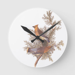Audubon's Cedar Waxwing Bird Pair on Juniper Tree Round Clock