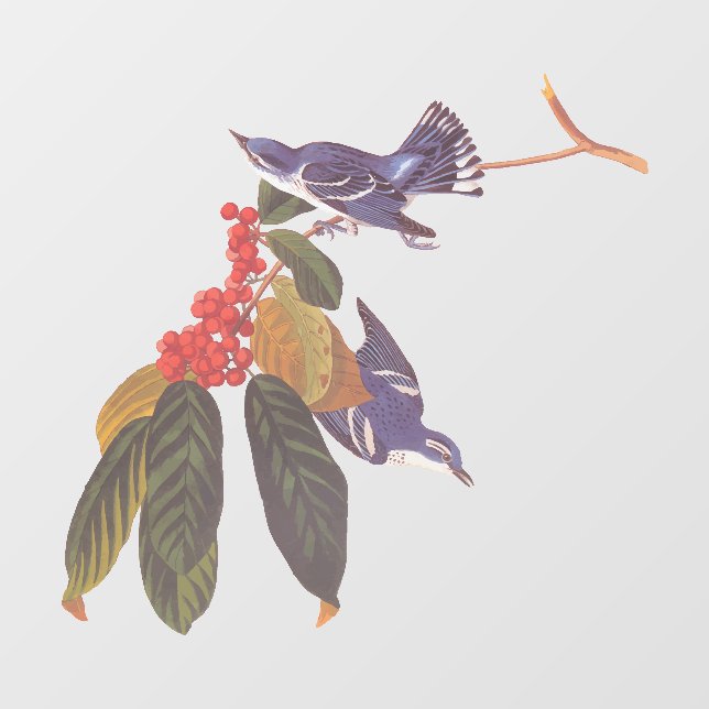 Audubon's Cerulean Warbler Birds with Bear Berries (Sheet)