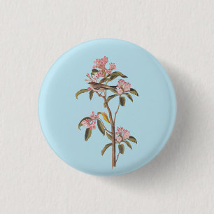 Audubon's Cuvier's Kinglet Bird on Pink Calico 3 Cm Round Badge