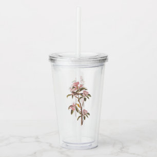 Audubon's Cuvier's Kinglet Bird on Pink Calico Acrylic Tumbler