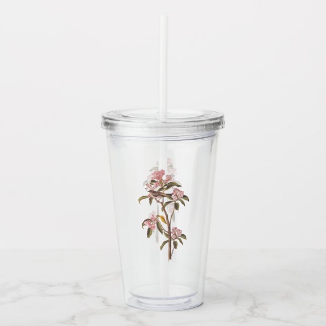 Audubon's Cuvier's Kinglet Bird on Pink Calico Acrylic Tumbler (Front)