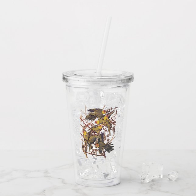 Audubon's Extinct Carolina Parakeets Vintage Art Acrylic Tumbler (Back Ice)
