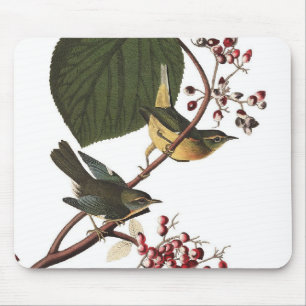 Audubon's Extra Warbler Mouse Pad