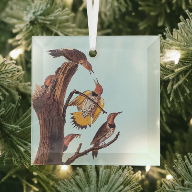 Audubon's Golden-Winged Woodpecker Family of Birds Glass Tree Decoration (Insitu)